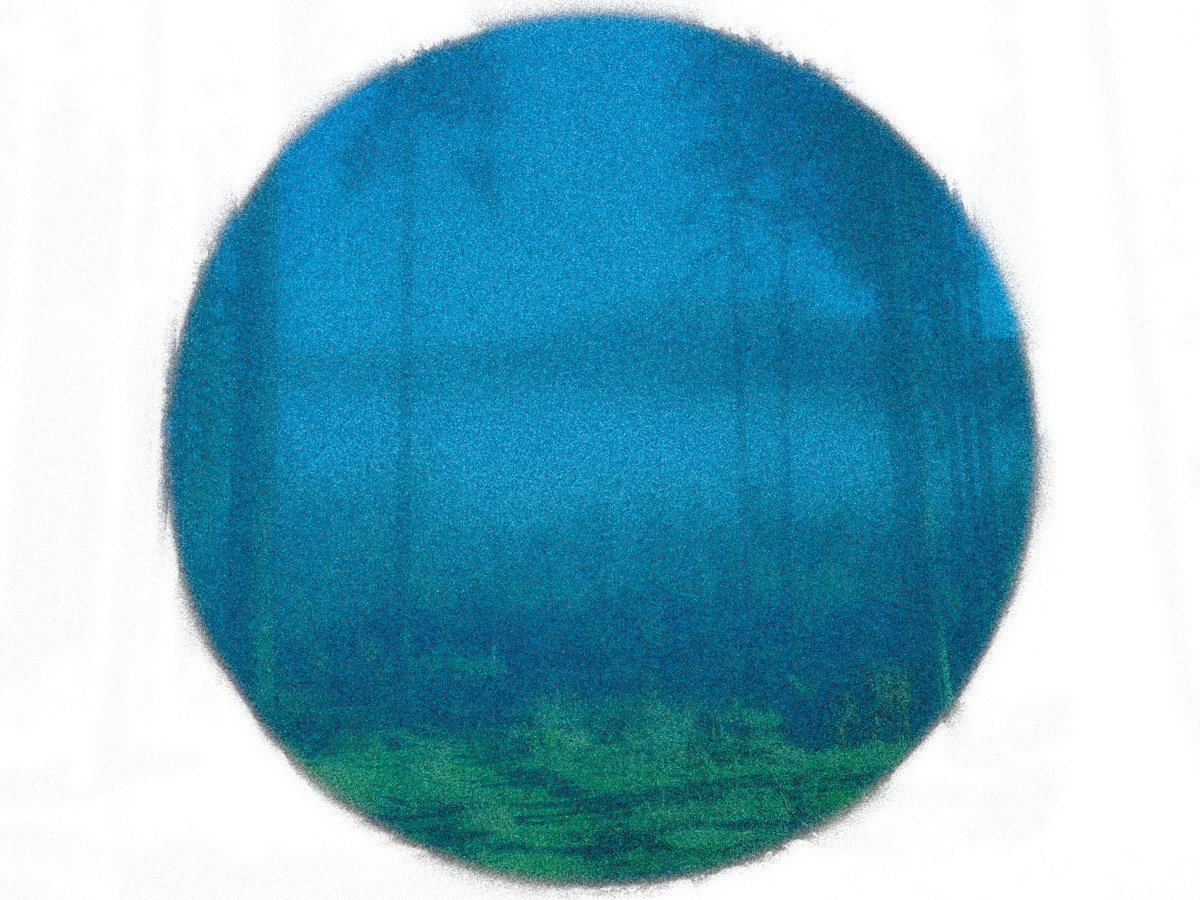 Ganz anders als ich&nbsp;will